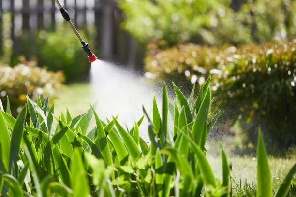 24/7 Emergency Bed Bug Control experts in Castle Pines, CO