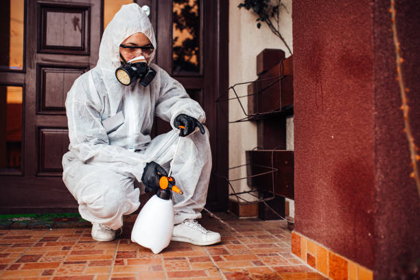 Reliable Bed Bug Control contractor in Castle Pines, CO by Nex Pest Control