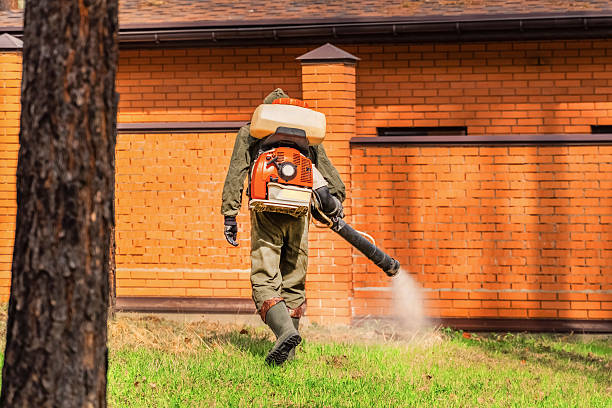 Trusted Bed Bug Control service in Castle Pines, CO - Nex Pest Control